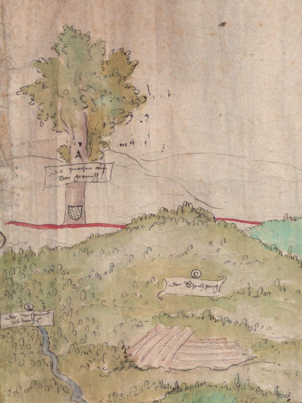 Detail of the sketch of the Bohemian Forest showing a tree with border markings.