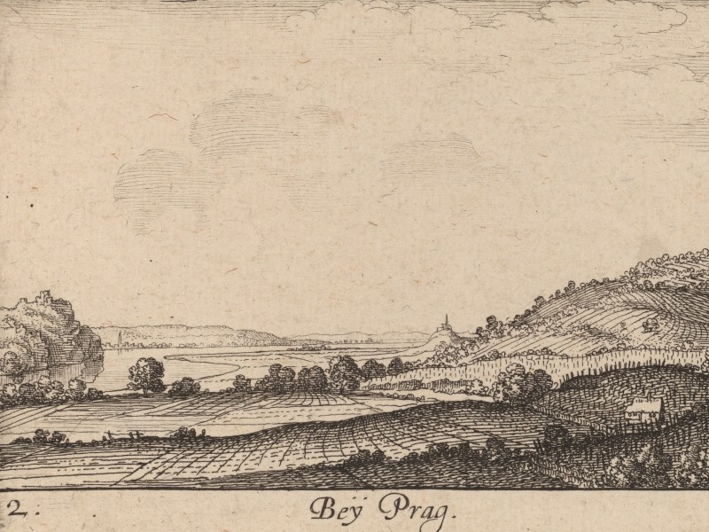Hills with farms and vineyards near Prague.