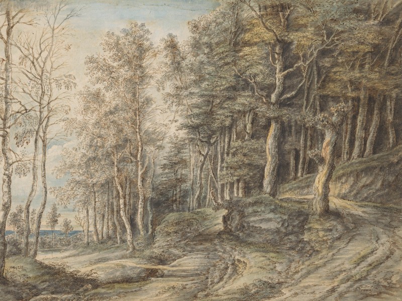 Swampy Roads and Thin Ice